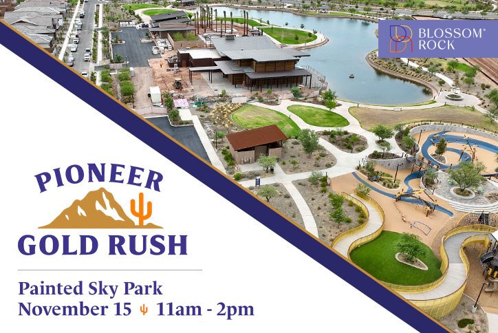 Pioneer Gold Rush Blog Image Nov