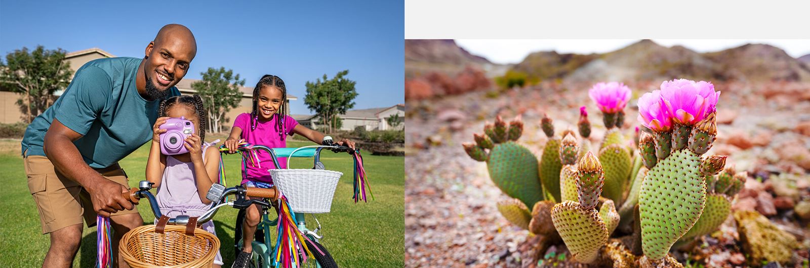 Blossom Rock Master-Planned Community Collage, Mesa Arizona