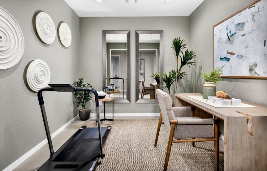 BRP blossom rock lily home gym office