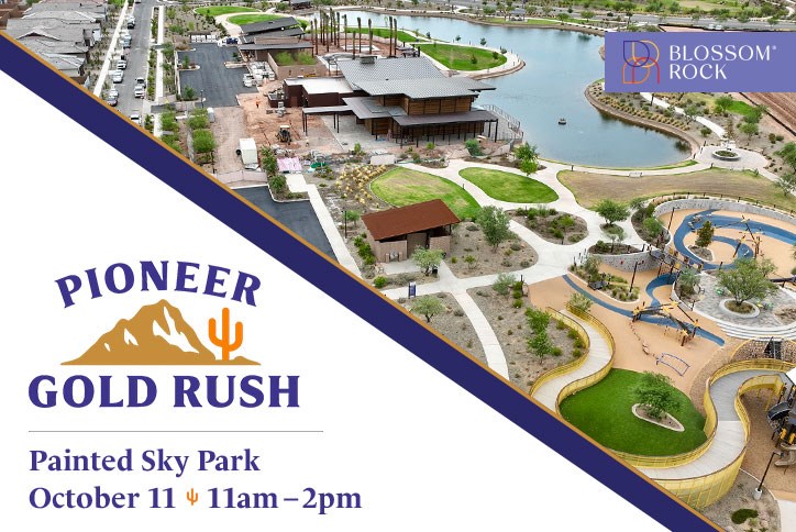 Pioneer Gold Rush Blog Image