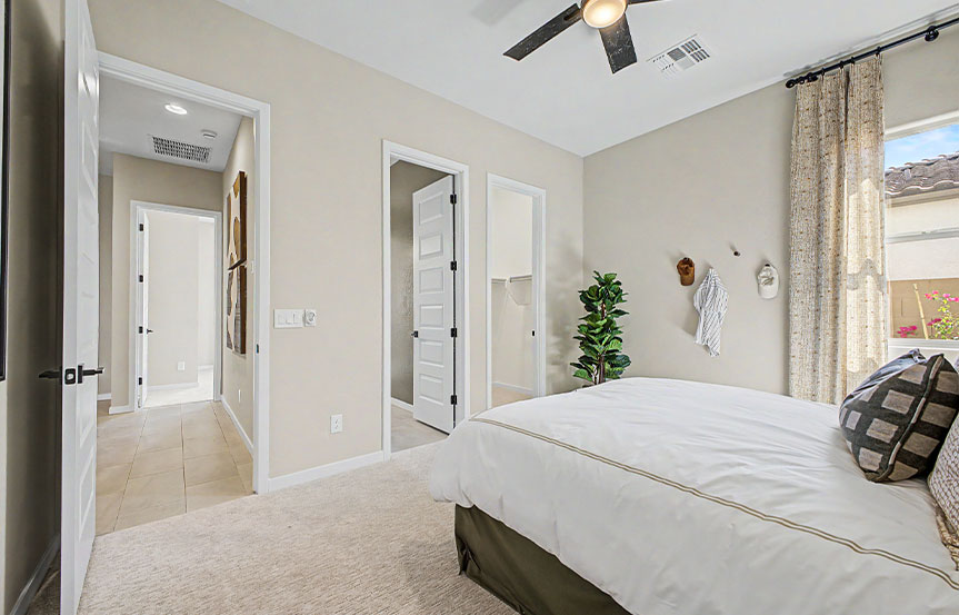 Darius Bed 4