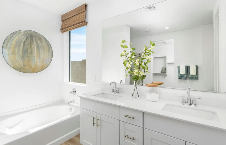 Lark White White W Bold Soph 8