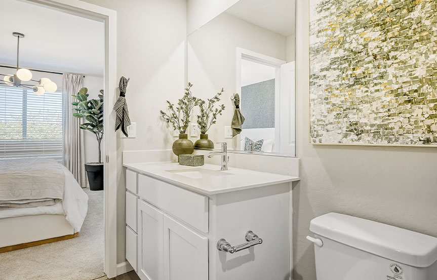 Lennar Aster Bath 2