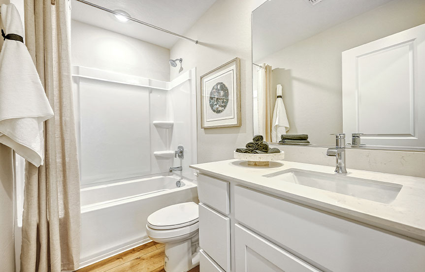 Lennar Aster Bath 3